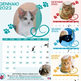 Calendario 2023 Gattopoli